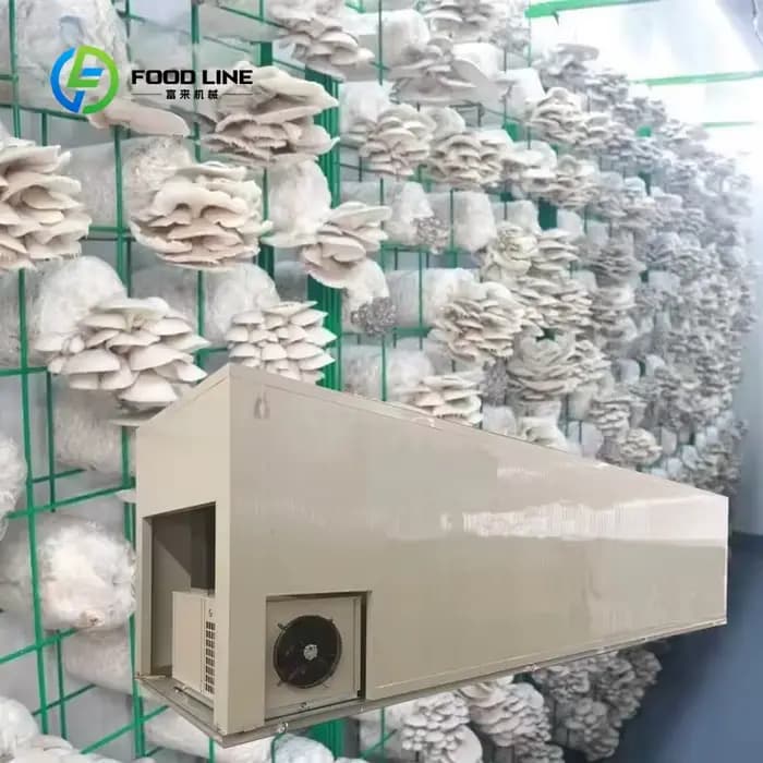 Serre conteneurisée haute performance de 40 pieds, climat contrôlé, pour la culture hydroponique de légumes-feuilles en usine