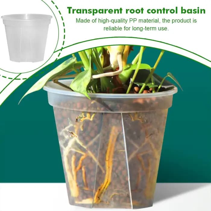 Pots de fleurs en plastique transparent pour contrôle des racines