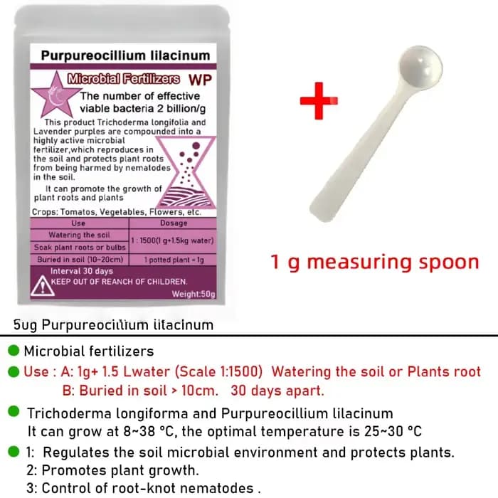 Purpureocillium lilasine champignons du sol microscopique biofertilisateur engrais microbien contrôle des Nematodes au nœud radiculaire 50g