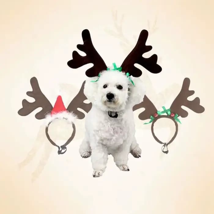 Produit habillé de renne, accessoires pour chiot et chaton, Costume, décorations de noël, bandeau pour chien et chat, fournitures pour animaux de compagnie, couvre-chef