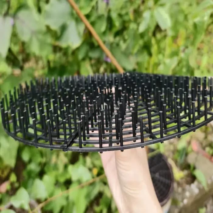 Nouveau protège-sol pour pot de plantes à double usage avec découpes barbelées