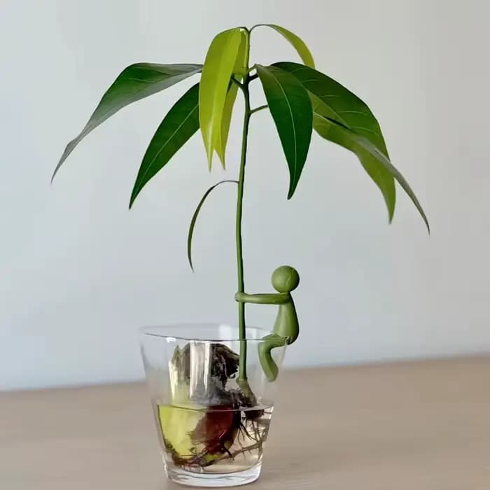 Support de plante en forme humaine, support de fixation pour vigne en plastique coloré, cadre décoratif réutilisable pour la mise en forme des plantes grimpantes en pot d'intérieur