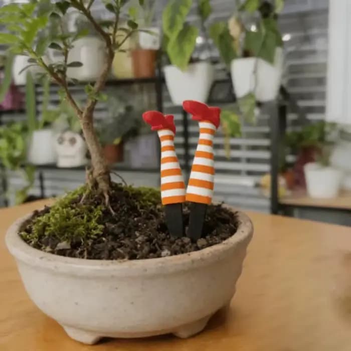 Mini Ensemble de Décoration de Jardinières