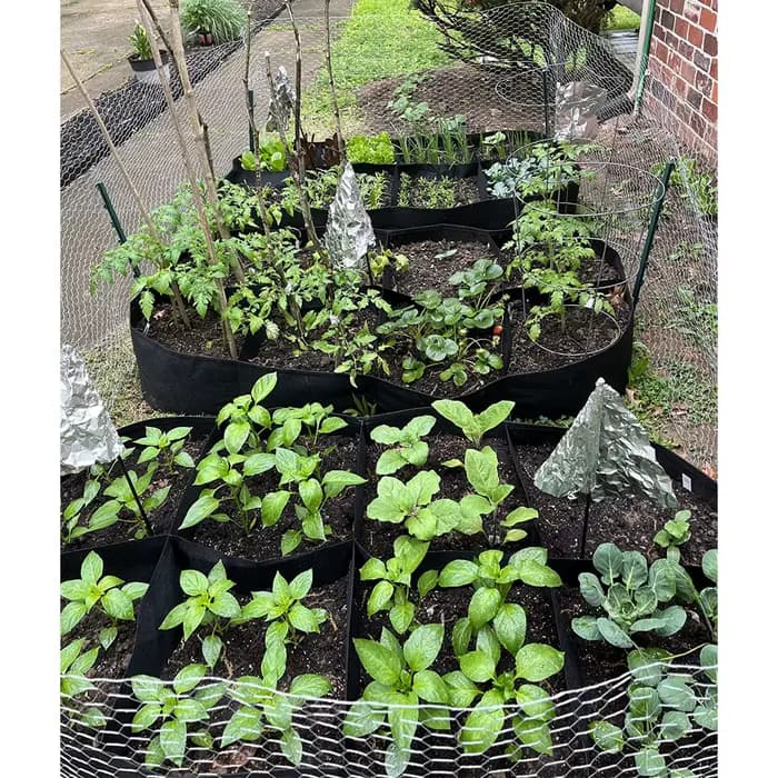 Bacs de culture surélevés en tissu pour plantes
