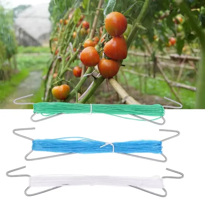 10 pièces plantes crochets Clips avec 10M corde + 20
