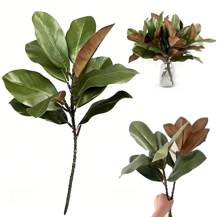 Feuilles de magnolia de style artistique de plante verte simulée