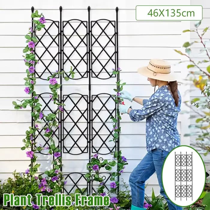 Cadre en treillis pour plantes de jardin