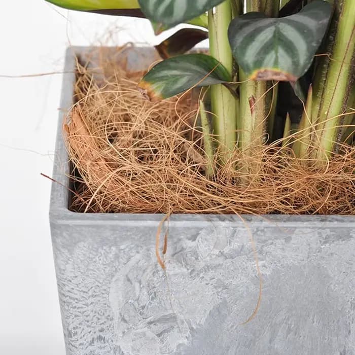 Couverture de pot de fleurs en fibre de noix de coco naturelle