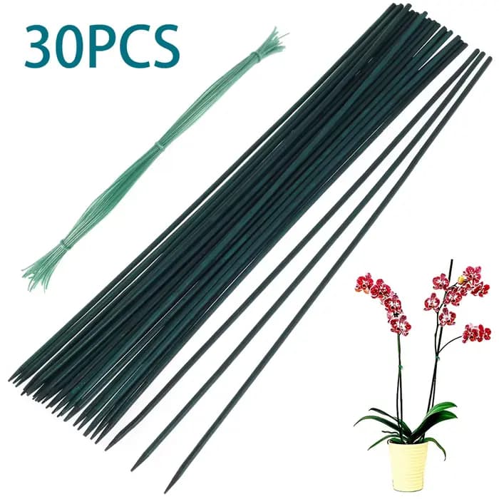 30 pièces bambou vert bâtons plante Support fleur bâton orchidée tige