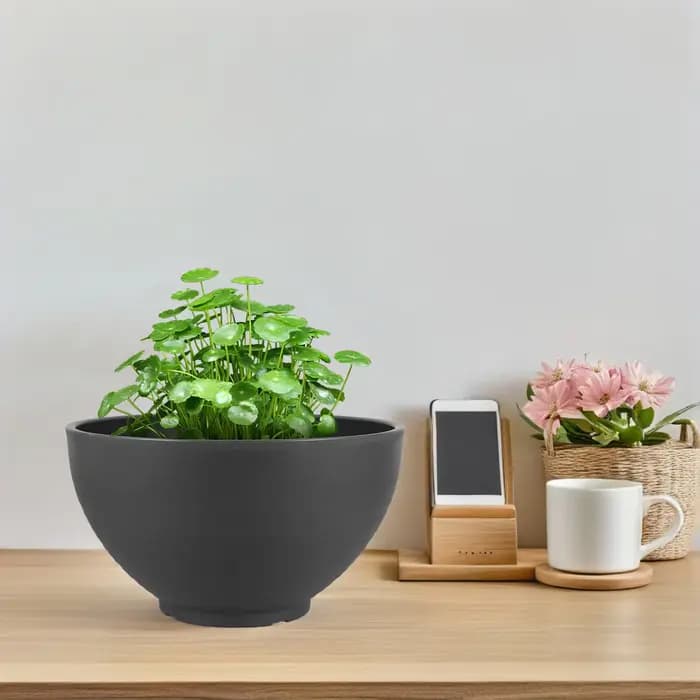 Bol de jardinière de Lotus