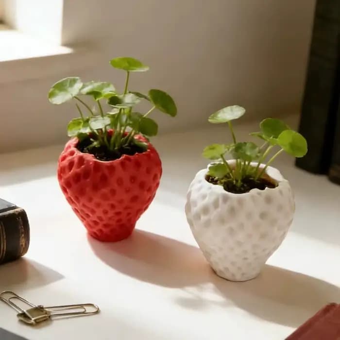 Pot de fleurs amusant imprimé en 3D en forme de fraise