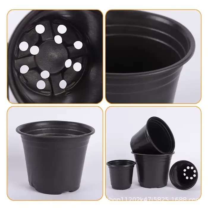 50/100 pots à semis noirs