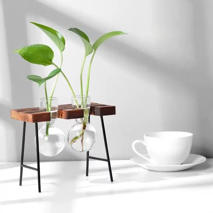 Jardinière hydroponique à cadre en bois avec bulbe en verre