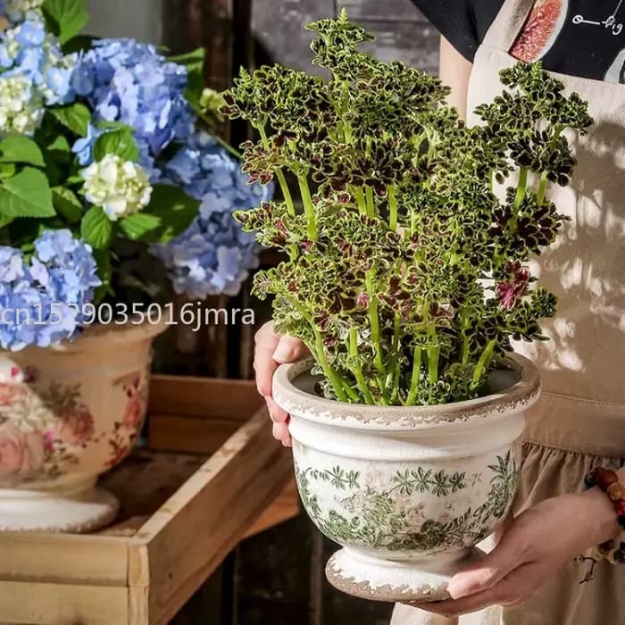 Pot de fleurs en céramique