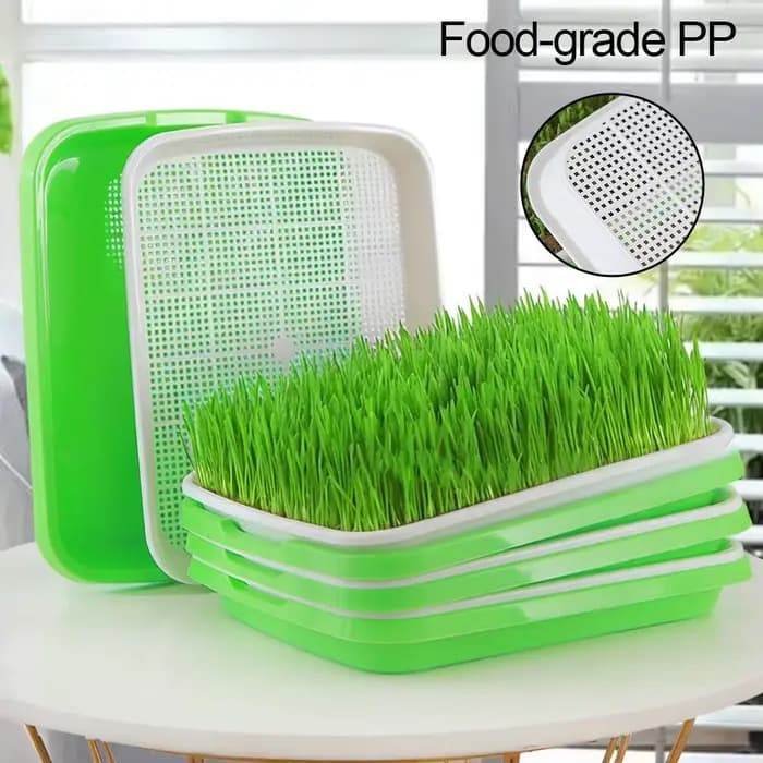 Kit de germination de graines hydroponiques sans terre avec couvercle pour jardin