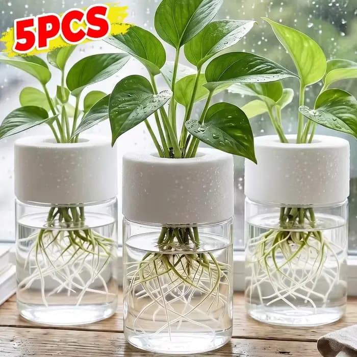 Mini pots de fleurs hydroponiques en PET transparents, ronds, sans terre, pour plantes hydroponiques de table, boutures, décoration de bureau, 1/5 pièces