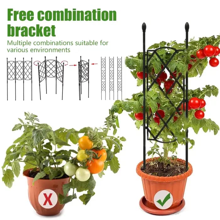 Cadre en treillis pour plantes de jardin