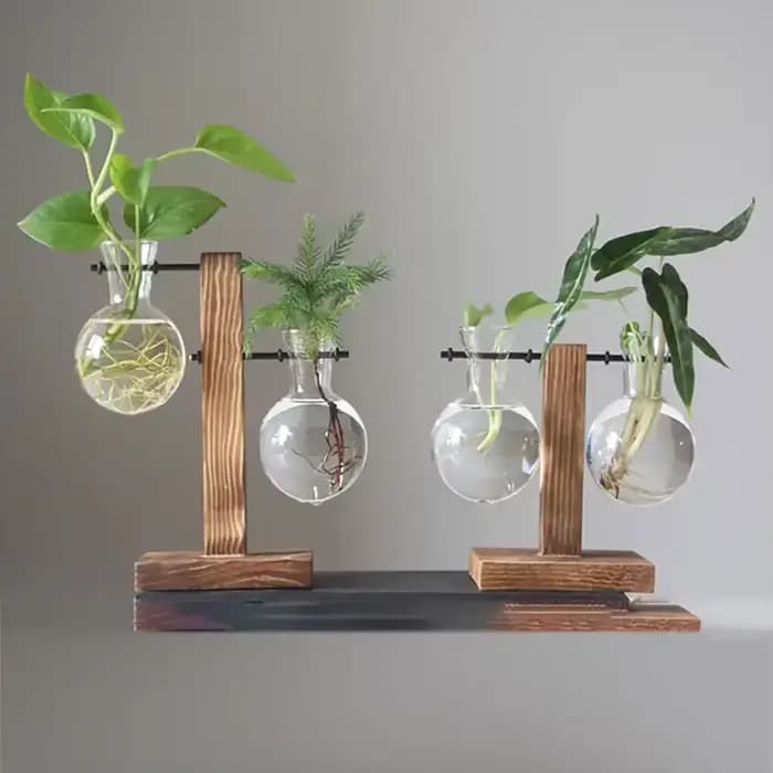 Pot de fleur Vintage, cadre en bois Transparent
