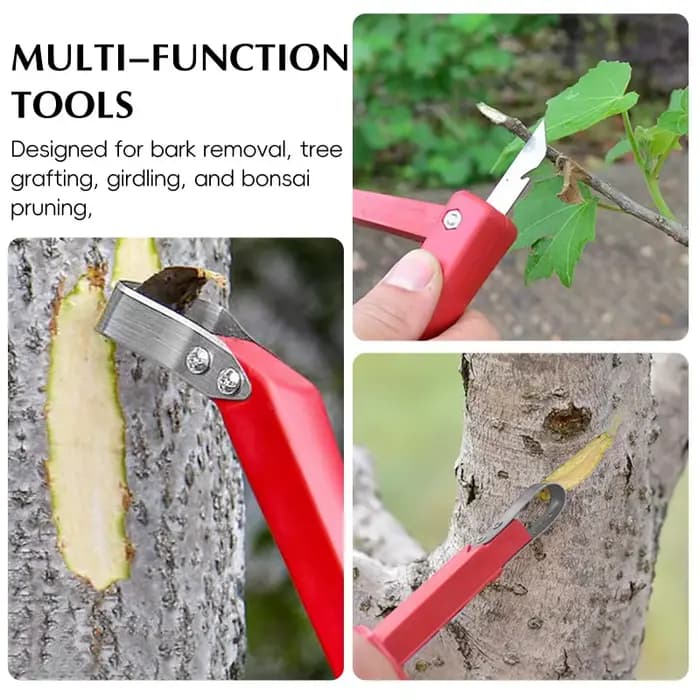 Lot de 2 grattoirs pour écorces d'arbres fruitiers