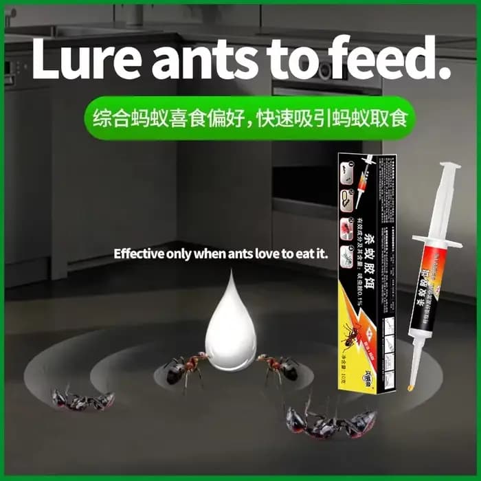 Appât anti-fourmis, lutte efficace contre les parasites et élimination des colonies de fourmis