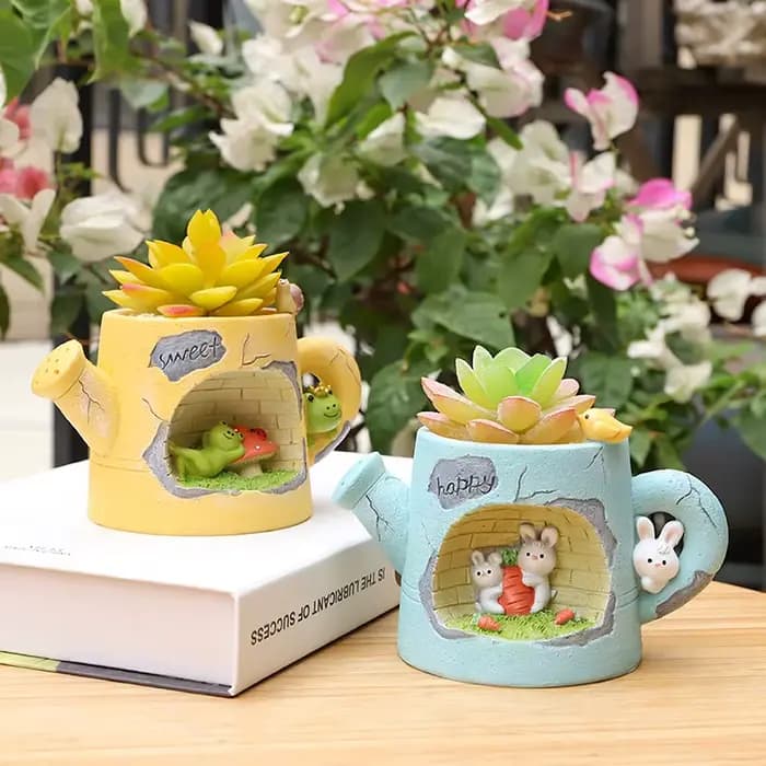 Arrosoir décoratif pour plantes succulentes