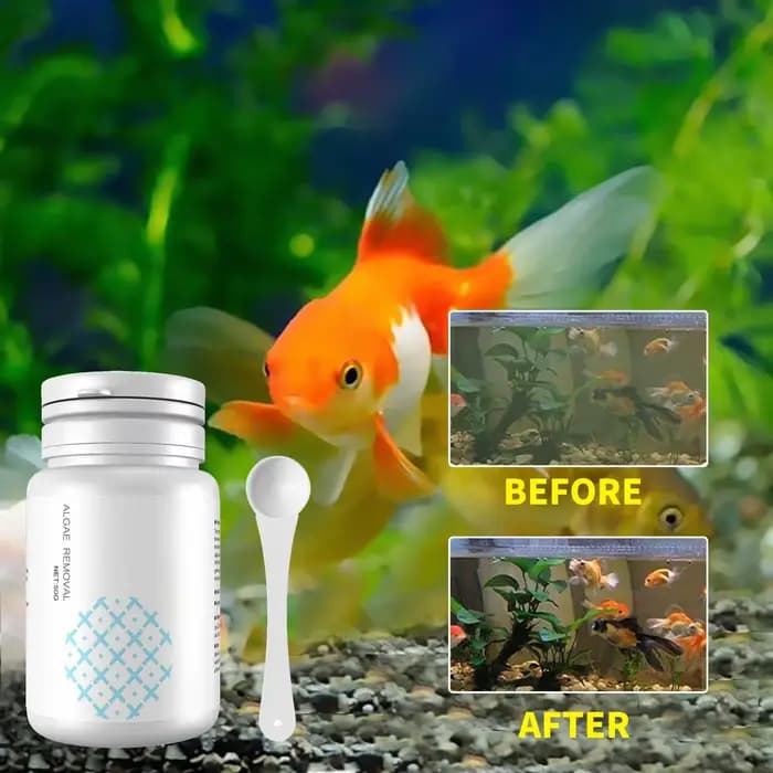 Nettoyage d'aquarium comprimés d'algues réservoir mousse dissolvant d'odeur eau purifier l'aquarium contrôle des algues