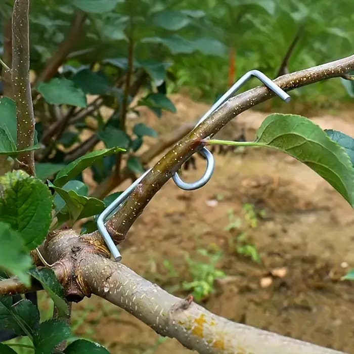 Kit d'outils manuels pour cintrer les branches d'arbres fruitiers – Écarteur de branches sans moteur pour la mise en forme et le tirage des arbres – Outil portable pour la cintrage des vergers