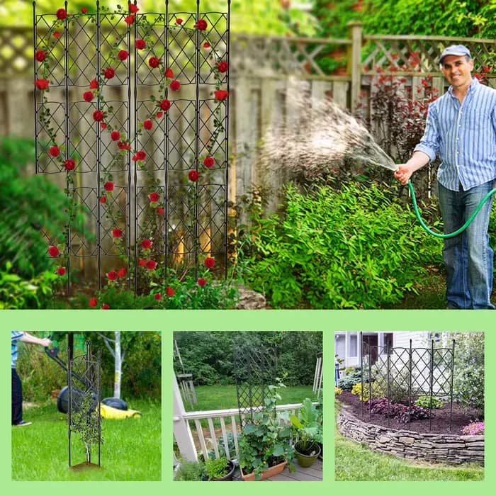 Cadre en treillis pour plantes de jardin