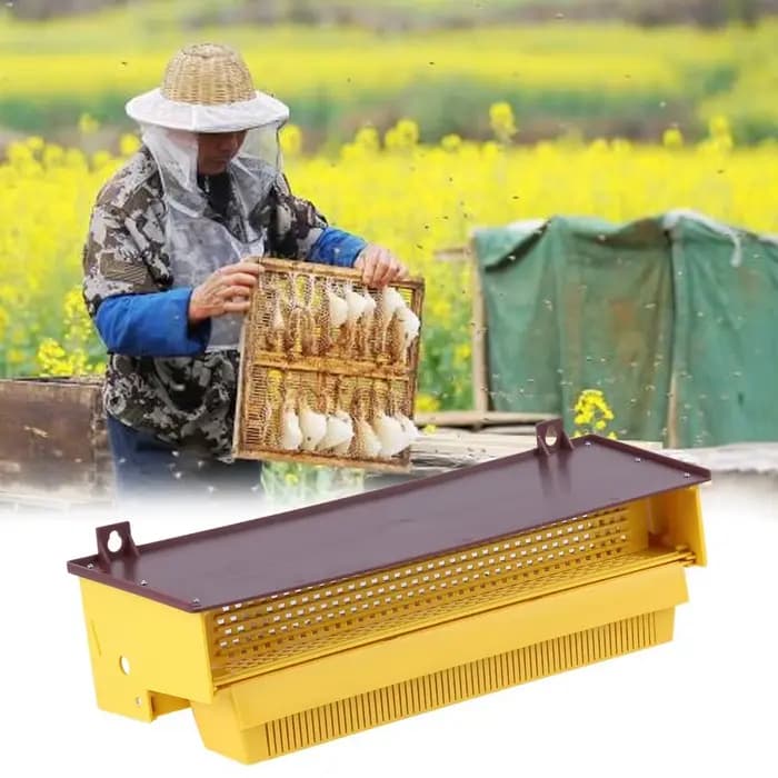 Piège à Pollen en plastique jaune amovible avec plateau