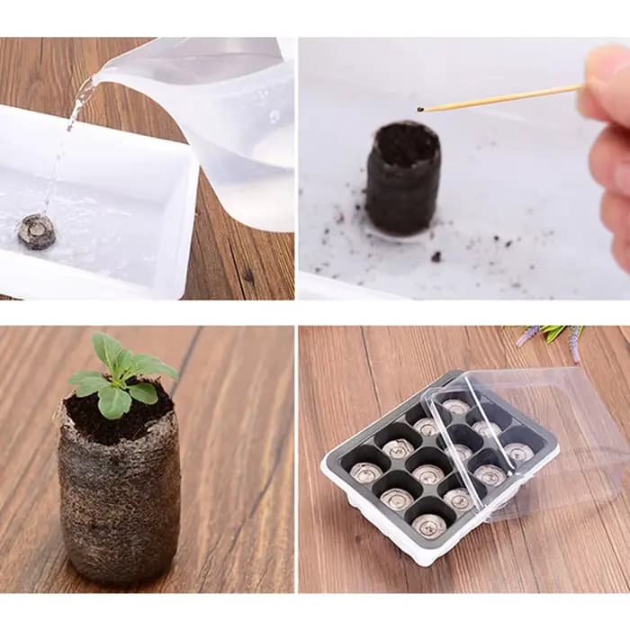 10 pièces de pastilles de tourbe compressée de 3 cm