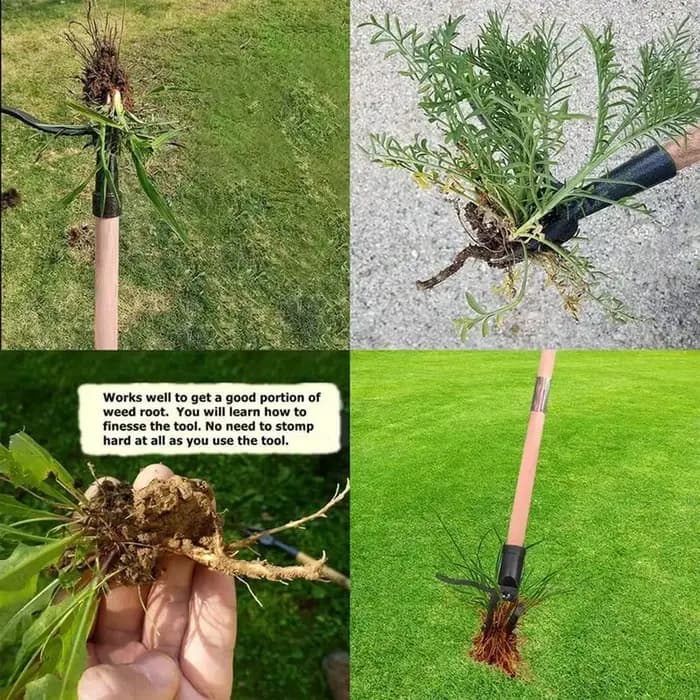Outil d'extraction de mauvaises herbes debout