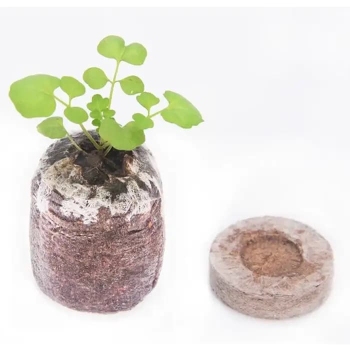 10 pièces de pastilles de tourbe compressée de 3 cm