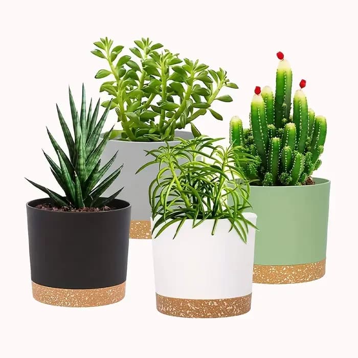 Lot de 4 pots de fleurs ronds de 5 pouces avec fond amovible