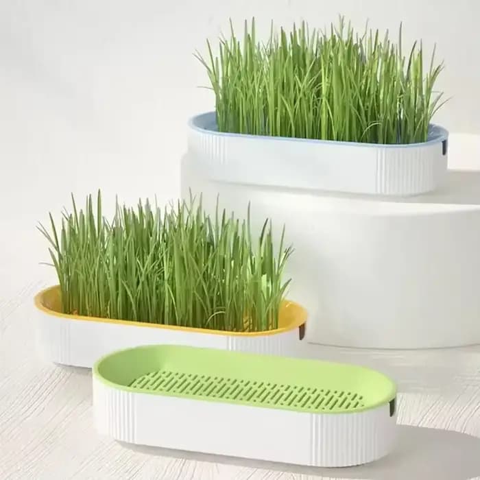 Pot de culture hydroponique sans terre pour herbe à chat