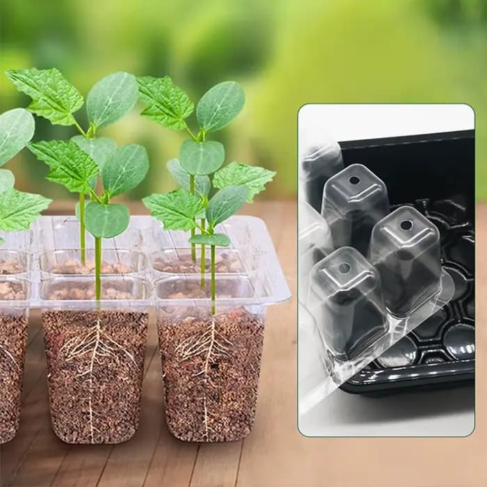 Kit de démarrage pour plantes à effet de serre avec trou de ventilation