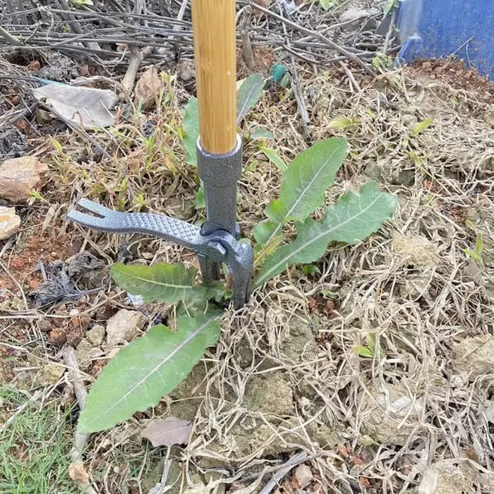 Désherbeur manuel à 4 griffes en acier robuste avec long manche pour jardin