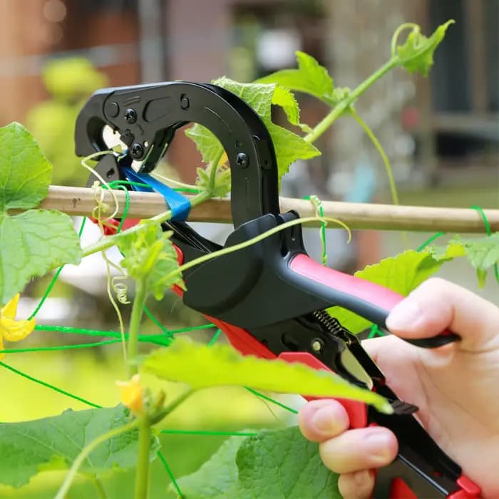Attacheuse manuelle de jardin pour plantes