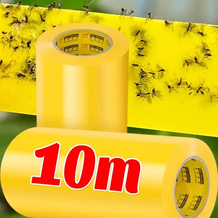 Ruban de protection pour arbres
