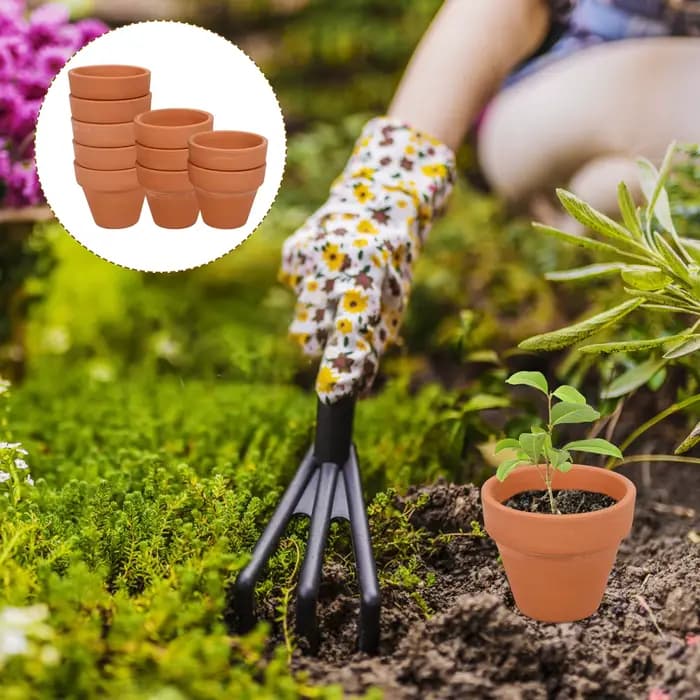 Mini pot de plantes en terre cuite