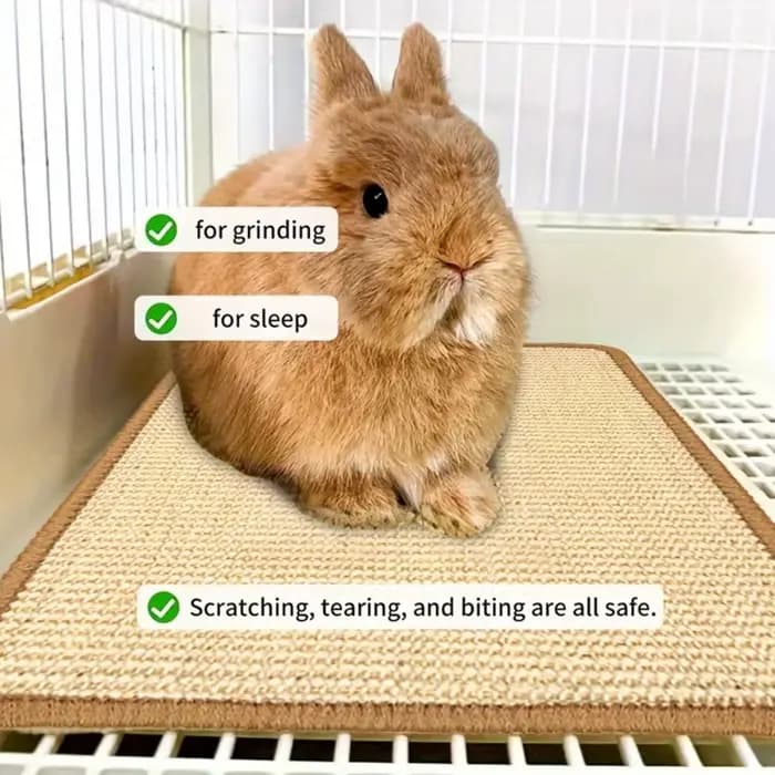 Tapis à mâcher et à gratter pour lapin – Coussin antidérapant en fibre naturelle | Sous-vêtements en cage et soins des