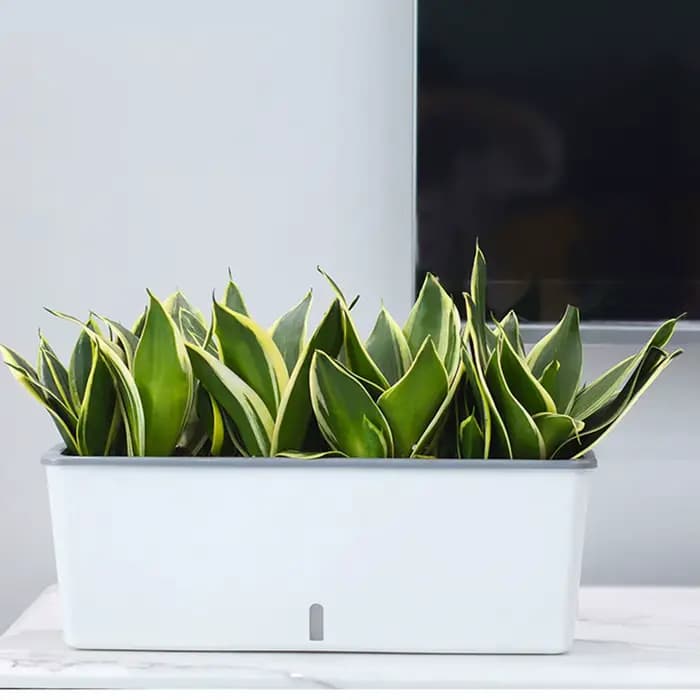 Pots de jardinières paresseux à Double couche