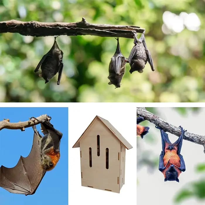Nouvelle maison créative en bois DIY pour insectes