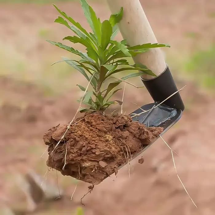 Petite houe de jardinage pour creuser la terre