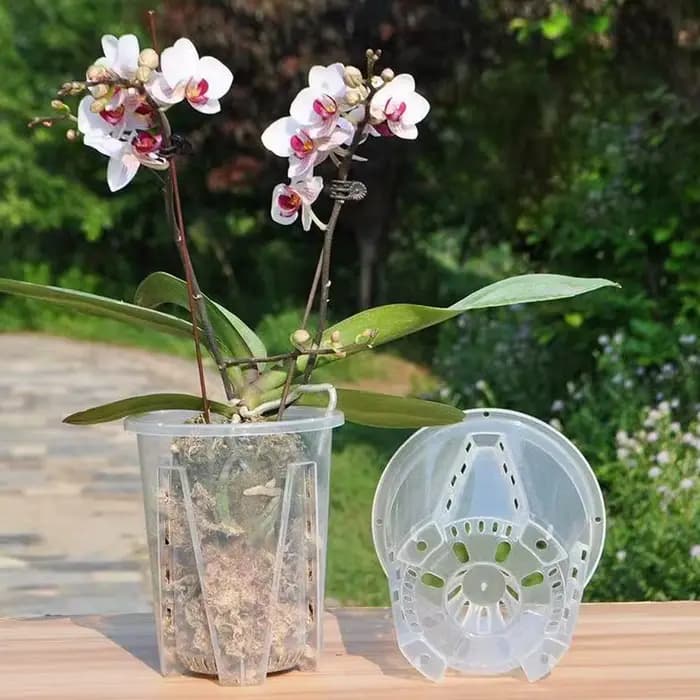 1 pot à orchidées respirant avec fentes de ventilation