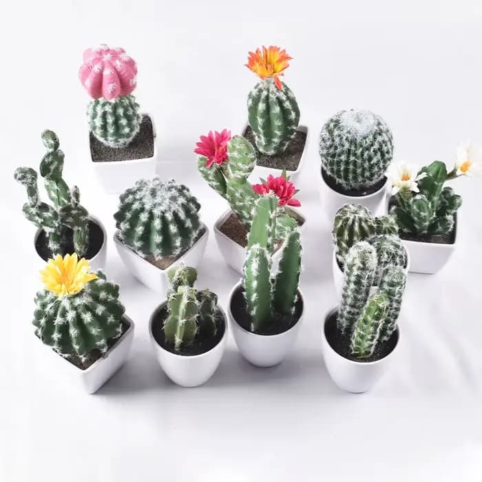 Cactus artificiel en pot plante verte Simulation succulente en pot fausses plantes