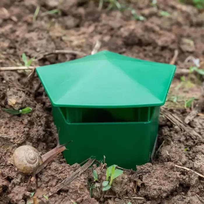 Pièges à escargots pentagonaux pour jardins potagers et plantes succulentes