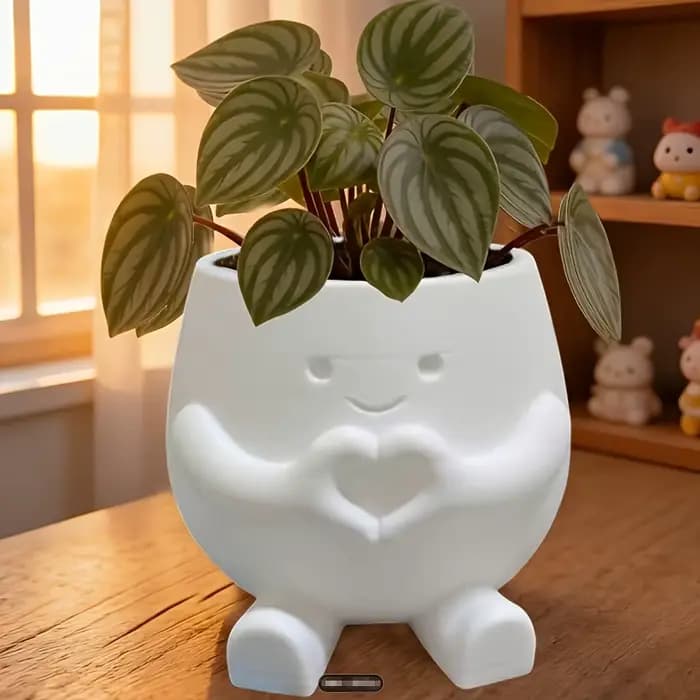 Pots de fleurs imprimés en 3D 4-en-1 : organisateur de stylos également. Parfait pour les plantes succulentes