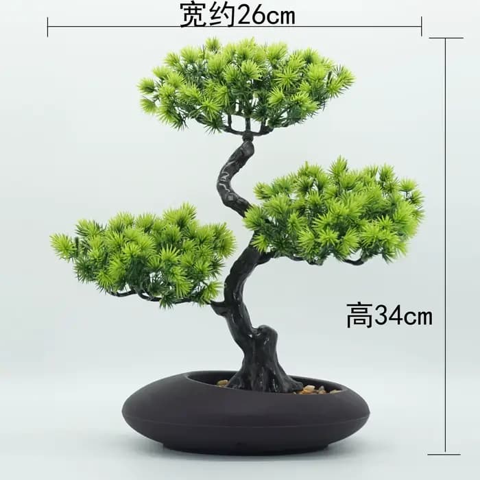 Simulation d'arbres de pin