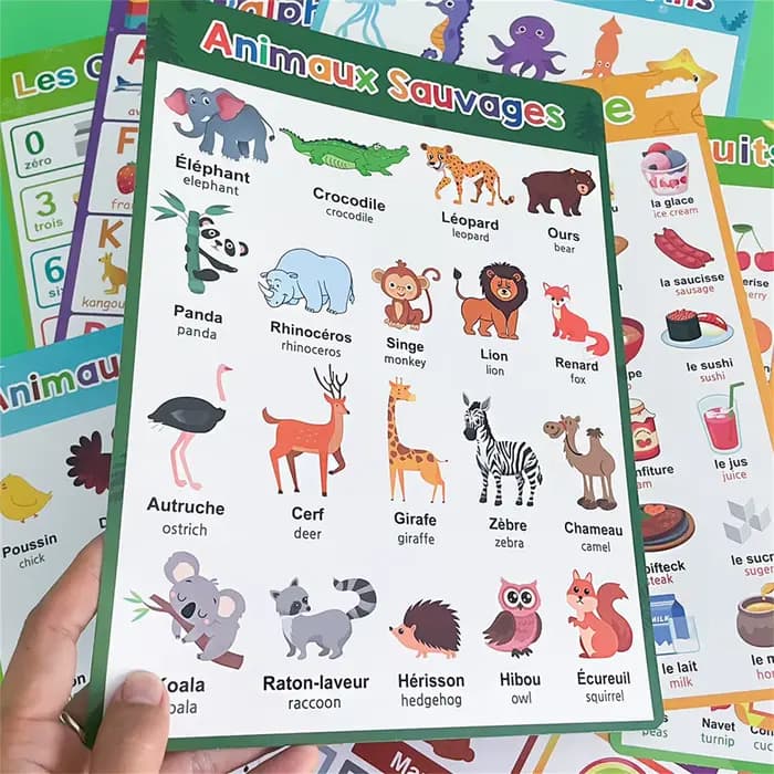 Affiche interactive d'apprentissage du français pour enfants, avec animaux, alphabet, fruits, vocabulaire, outil d'éducation précoce pour la maison et la salle de classe