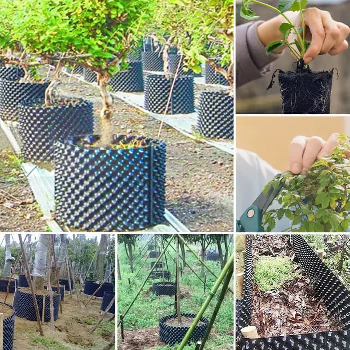 Pot de pépinière de contrôle des racines de plantes